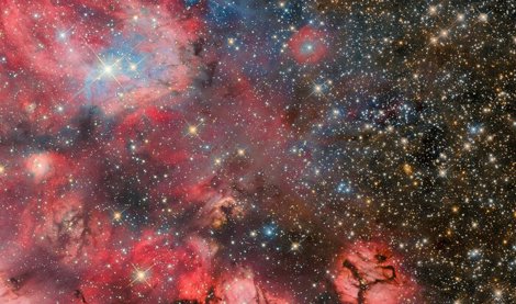 notibrasil sociedade