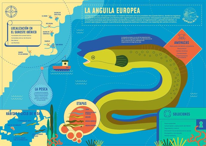 WWF pide a los gobiernos en la COP CITES medidas urgentes para evitar la extinción de las anguilas.