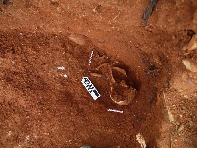 Localizados los primeros restos humanos durante las excavaciones del V Plan de fosas en el cementerio de Ses Figueretes.