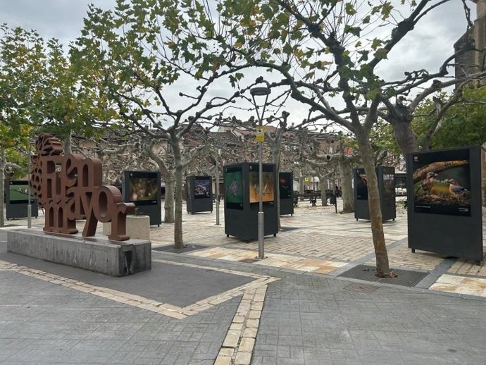 Fuenmayor acoge la exposición itinerante del XVIII concurso de fotografía 'Naturaleza de La Rioja'