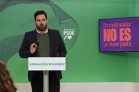 PSOE-A espera que los gerentes del SAS aclaren "quién dio la orden de quitar la alarma para desviar fondos" a la privada