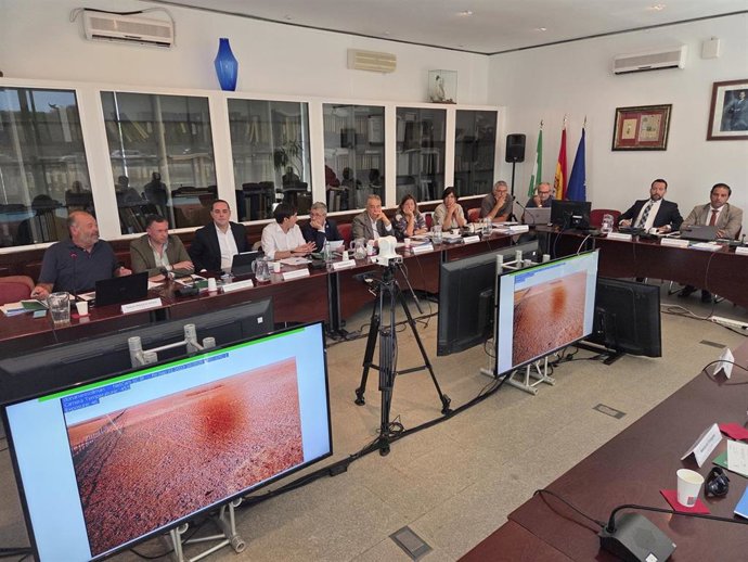 Archivo - Pleno Extraordinario del Consejo de Participación de Doñana el pasado 16 de octubre para tratar el deslinde de las marismas.
