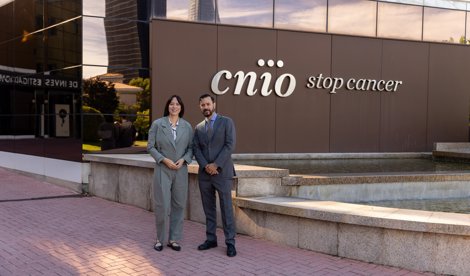 notibrasil sociedade