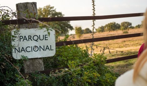 notibrasil política