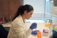 Un estudio identifica la diversidad de células en las que el VIH se mantiene latente