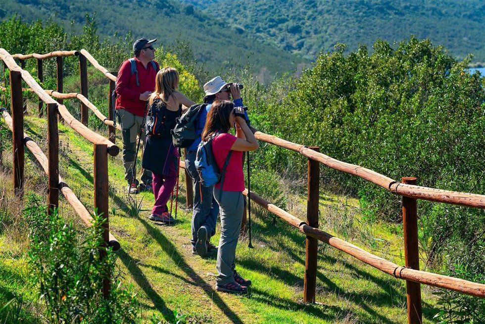 Archivo - Obervación de aves en la Reserva de la Biosfera Tajo/Tejo Internacional