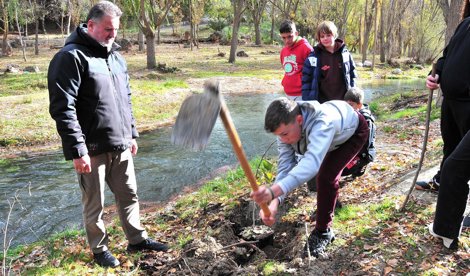 Es Andalucía - Granada