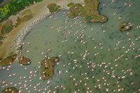 WWF comparte la petición del presidente del Consejo de Participación de Doñana de "parar el deslinde"
