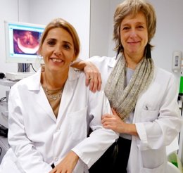 notibrasil sociedade