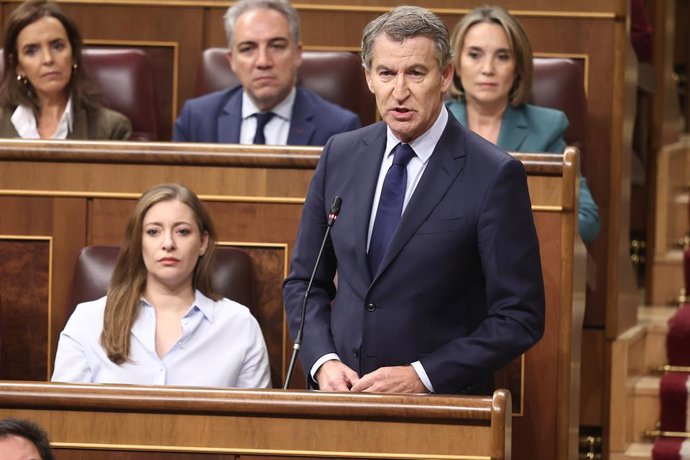 El presidente del Partido Popular, Alberto Núñez Feijóo, interviene durante una sesión de control al Gobierno, en el Congreso de los Diputados, a 19 de noviembre de 2025, en Madrid (España). El Gobierno se enfrenta a una nueva sesión de control en la cáma