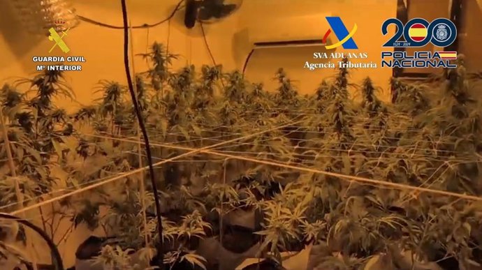 Detenidos nueve miembros de un grupo criminal dedicado al contrabando de tabaco y el tráfico de drogas en Sevilla.