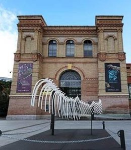 El MNCN presenta El esqueleto del cambio climático, una escultura al aire libre