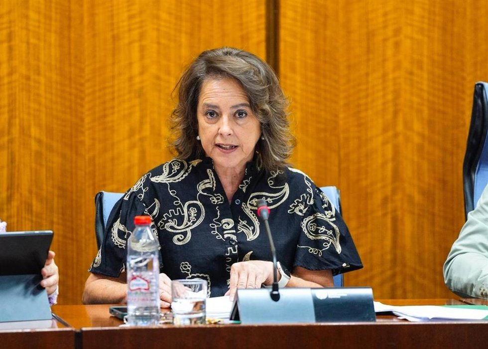 La consejera de Sostenibilidad y Medio Ambiente, Catalina García, en una imagen de archivo de una comparecencia parlamentaria en comisión.