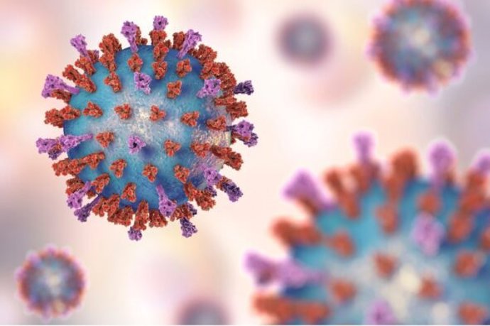 Virus sincitial respiratorio