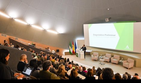 Es Andalucía - Sevilla