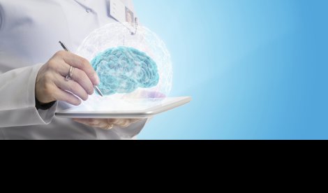 notibrasil sociedade