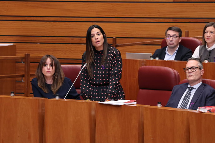La procuradora socialista Nuria Rubio en una intervención en el Pleno de las Cortes del 25 de noviembre de 2025.