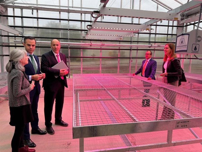 El secretario general de Ciencia, Tecnología e Innovación, Javier de Francisco, visita un invernadero climatizado en el Cicytex