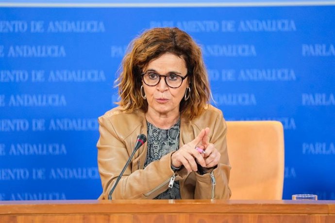 La diputada de Por Andalucía Esperanza Gómez, este miércoles en rueda de prensa.