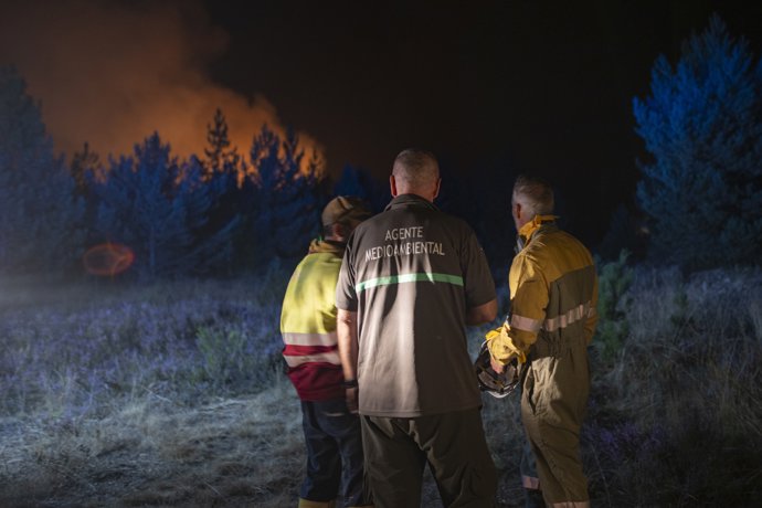 Varios bomberos forestales tratan de extinguir el fuego, a 22 de agosto de 2025, en Argayo, León, Castilla y León (España).