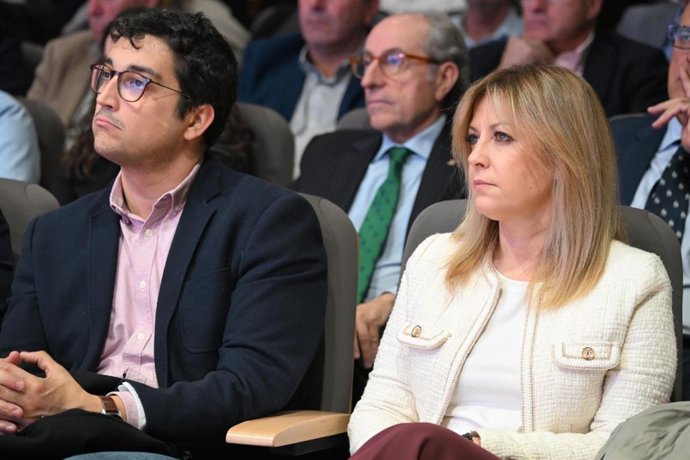 La portavoz del PSOE en las Cortes de Castilla-La Mancha, Ana Isabel Abengózar.