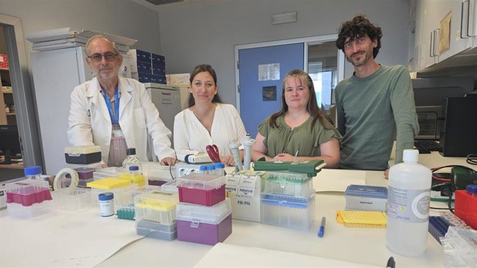 EL IIS La Fe, la Universitat de València y el CIBERHED desarrollan la primera clasificación mecanística de fármacos que pueden causar hígado graso