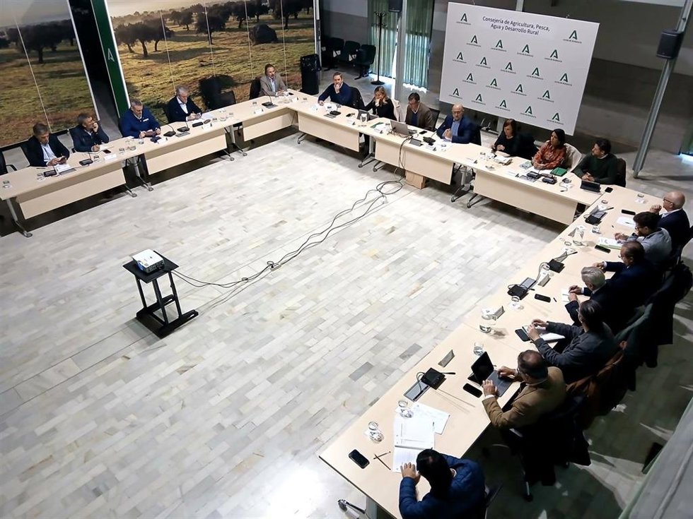 Reunión anual del Consejo Andaluz del Olivar en Sevilla.