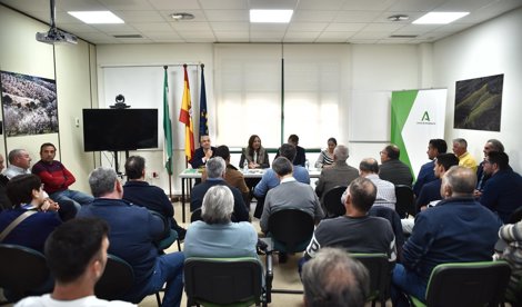 Es Andalucía - Málaga