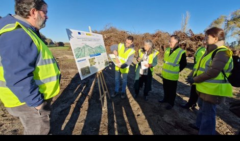notibrasil política