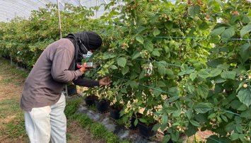 notibrasil sociedade