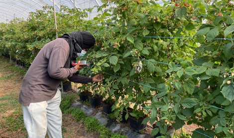 notibrasil sociedade