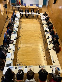 Reunión del Consejo Castellano y Leonés de la Salud.