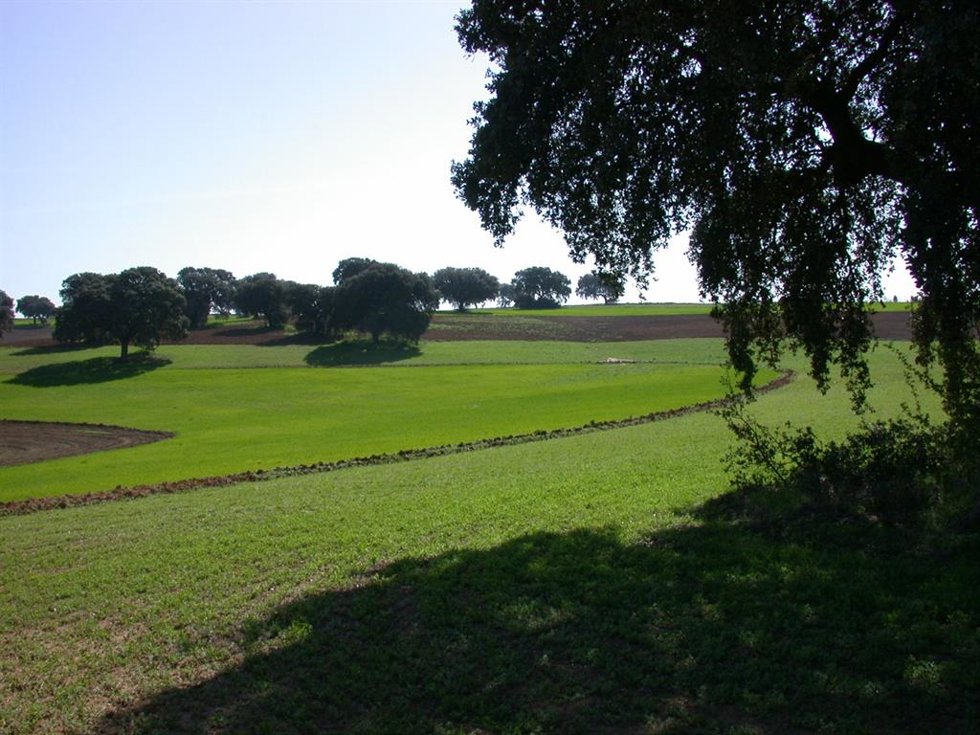 Archivo - Imagen de recurso en relación con la agricultura ecológica.