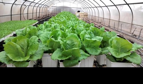 notibrasil sociedade