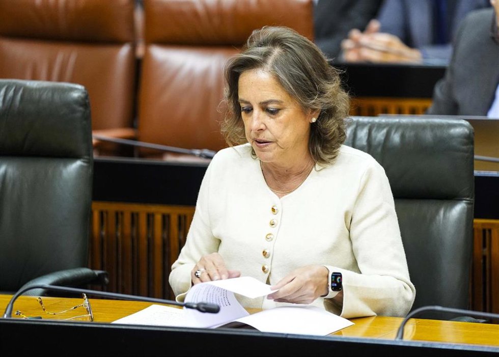 La consejera de Sostenibilidad, Catalina García, este miércoles siguiendo el debate en el Pleno del Parlamento.