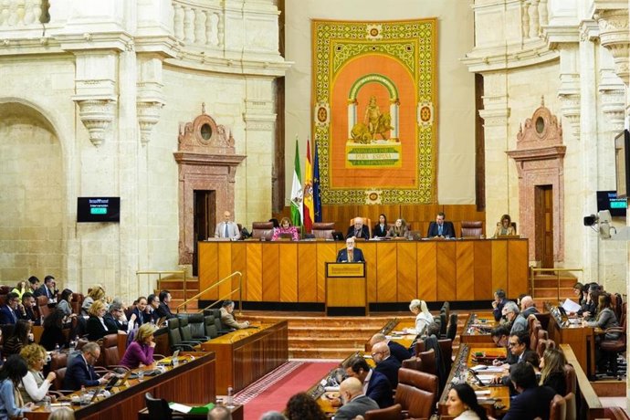 El portavoz de la comisión promotora de la ILP sobre sanidad de las mareas blancas, Sebastián Martín Recio, interviene en el Pleno del Parlamento andaluz este miércoles.