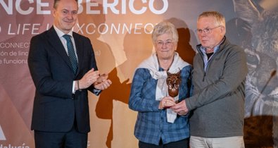 Es Andalucía - Sevilla