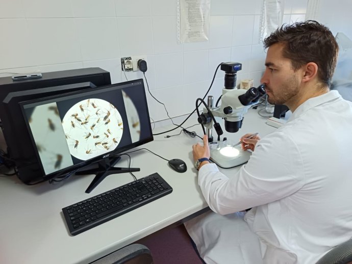 Daniel Bravo, el investigador de la Universidad de Córdoba que ha participado en el estudio.
