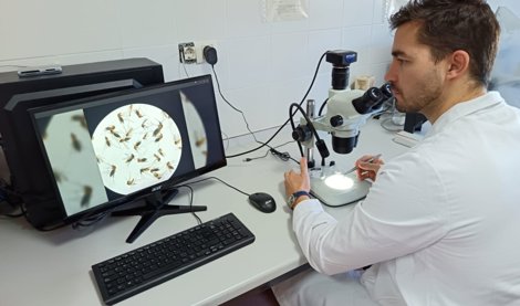Investigación