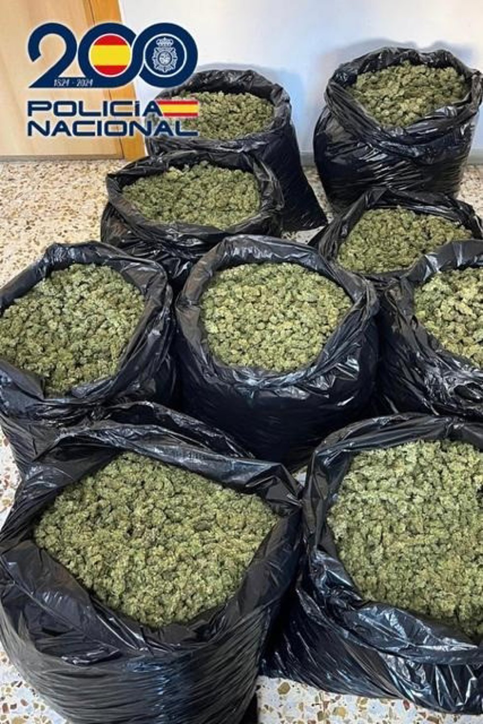 Bolsas de cogollos de marihuana intervenidas en la furgoneta utilizada para el transporte en El Ejido (Almería).