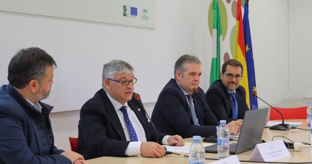 Federación Andaluza de Municipios y Provincias