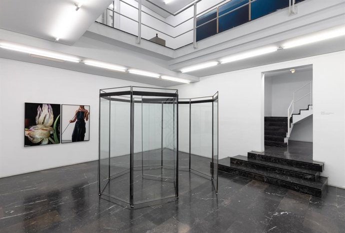 La Galería Luis Adelantado ha inaugurado este jueves 'El sueño de la serpiente'.