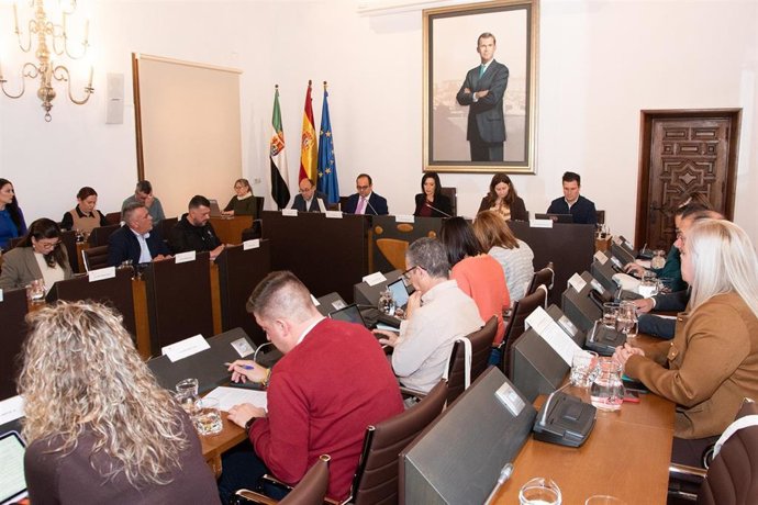 Pleno ordinario de la Diputación de Cáceres del mes de noviembre