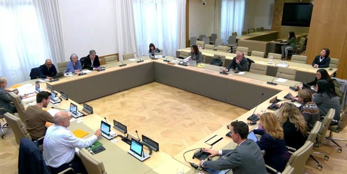 Uno de los momentos de la Comisión de Asuntos Sociales del Parlament.