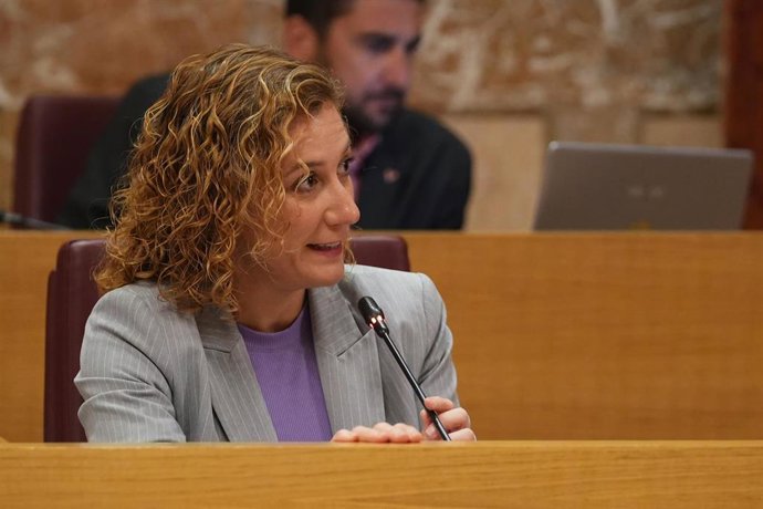 Archivo - La concejal de la confluencia Izquierda Unida y Podemos, Susana Hornillos.