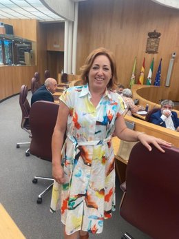 Archivo - La diputada provincial de IU, Mari Carmen Pérez