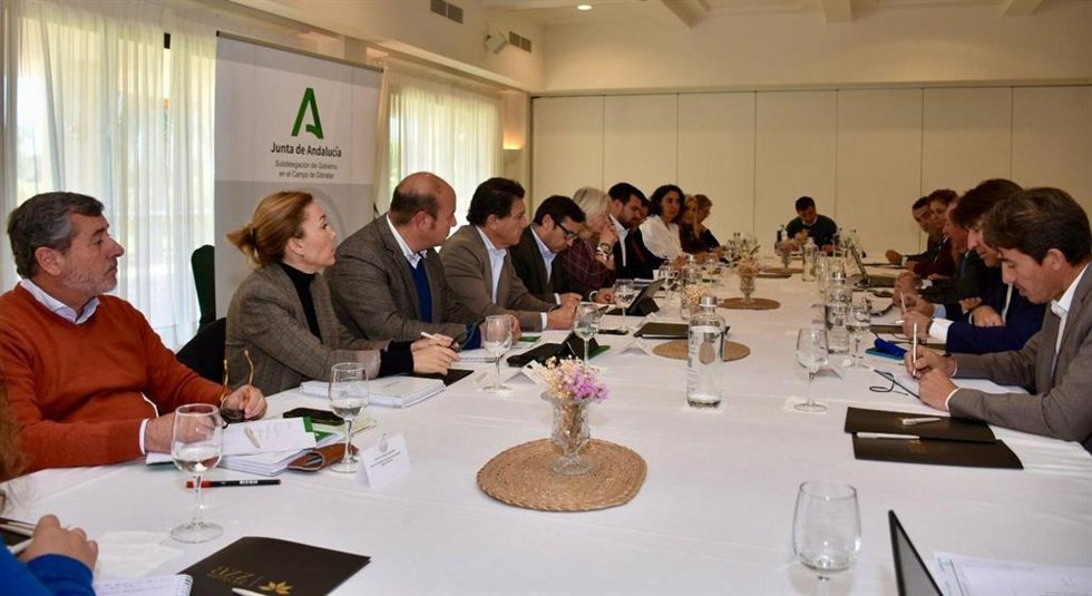 La delegada de la Junta de Andalucía en Cádiz, Mercedes Colombo, presidiendo una reunión de trabajo con los representantes de las empresas que integran la Asociación de Grandes Industrias del Campo de Gibraltar (AGI)
