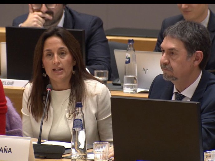 La consellera interviniendo en el plenario