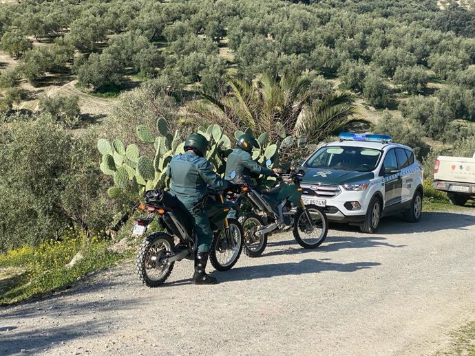 Labores de seguridad de la Guardia Civil durante la campaña de la aceituna en una imagen de archivo.