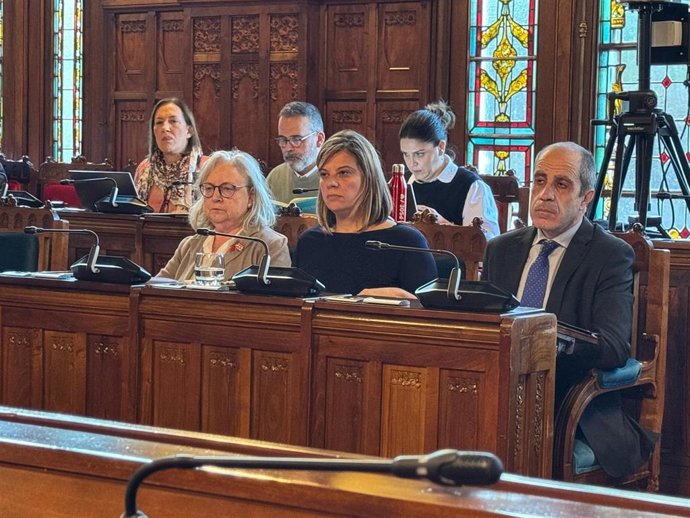 La vicepresidenta y consejera de Presidencia, Reto Demográfico, Igualdad y Turismo, Gimena Llamedo, durante su comparecencia este jueves en la Junta General.